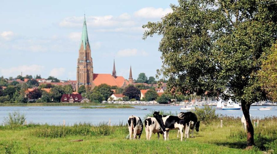 Domkirken i Schleswig